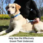 Pet Grooming Brush – Double Sided Shedding And Dematting Undercoat Rake Comb