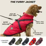 Waterproof Furry Jacket for Dogs of All Sizes (Copy) - Image 3