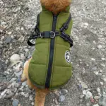 Waterproof Furry Jacket for Dogs of All Sizes (Copy) - Image 7