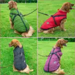 Waterproof Furry Jacket for Dogs of All Sizes (Copy) - Image 8