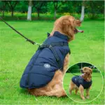 Waterproof Furry Jacket for Dogs of All Sizes (Copy) - Image 11